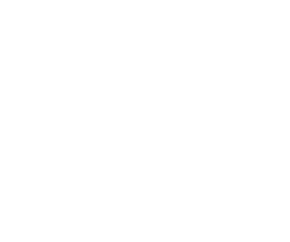 Grupo Indunova